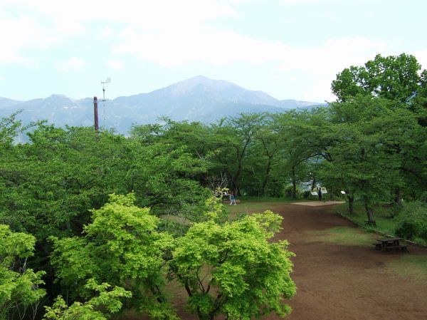 c0073016_011328.jpg
