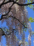 「ブラッシュアップセミナー合宿」 in 岩手 2006_d0046025_625391.jpg