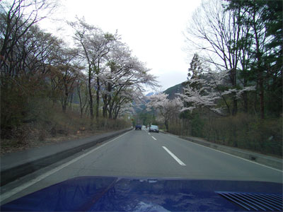 c0070528_0481418.jpg