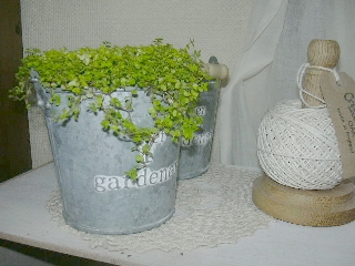 f0056129_11172736.jpg