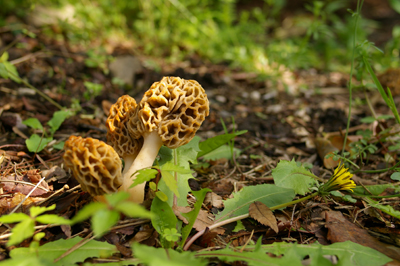 f0108133_89657.jpg