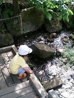 d0001854_043386.jpg