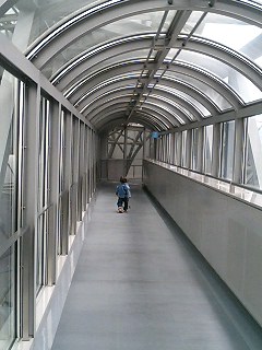 d0001854_1103921.jpg