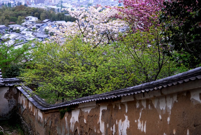 　「白毫寺」　奈良_f0033161_1944923.jpg