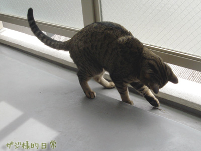 a0001964_10455873.jpg
