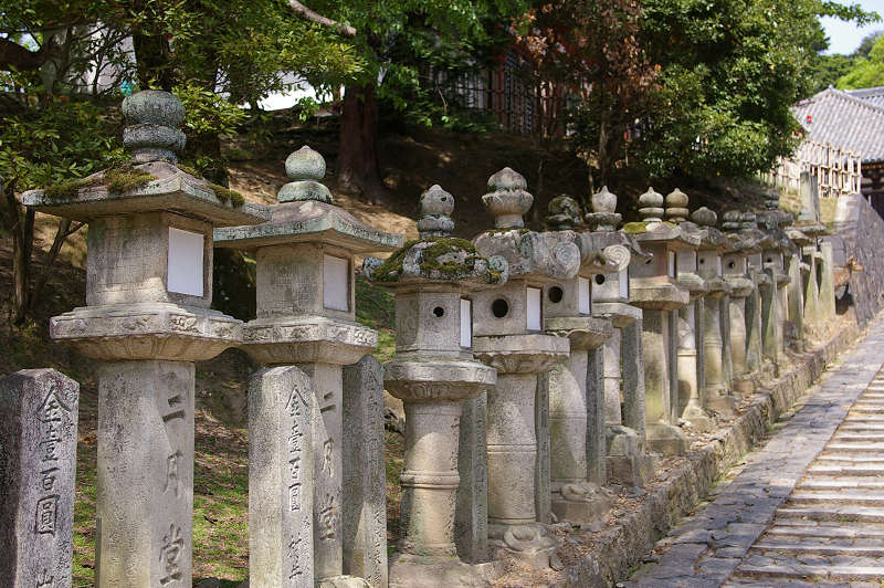 ブラブラと・・・奈良（東大寺）_b0050968_23582715.jpg