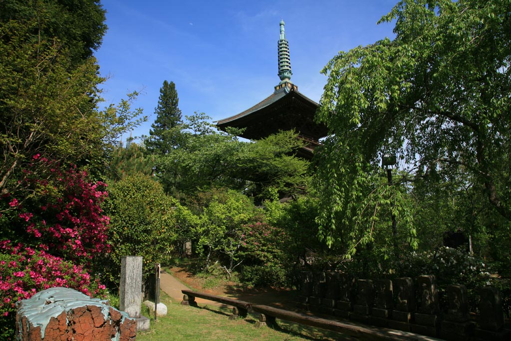 千葉・芝山仁王尊に行ってきた_e0071178_8453922.jpg