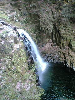 b0058587_1651479.jpg