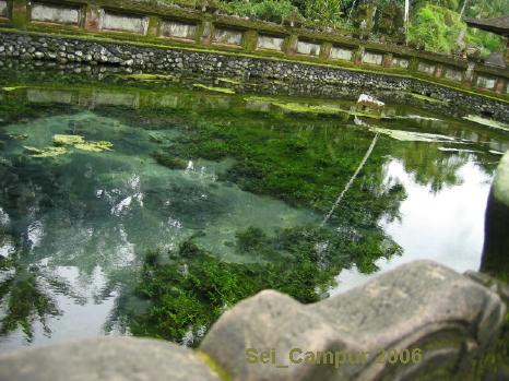 聖なる泉　～Tirtha Empul (2)～_e0073791_11414940.jpg