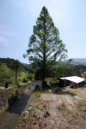 b0035093_21542392.jpg