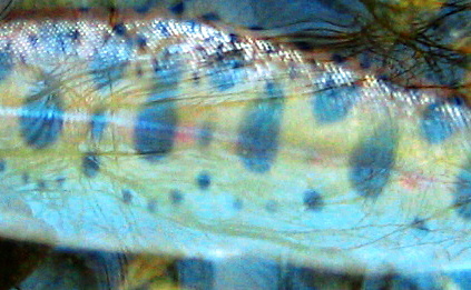 e0035597_16521436.jpg