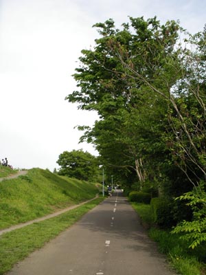 b0051998_13412852.jpg