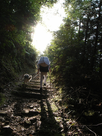 4月３０日お遍路の旅　～午後の部～_c0049299_10433528.jpg