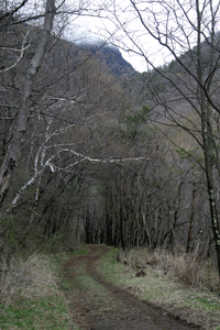 a0039307_134296.gif