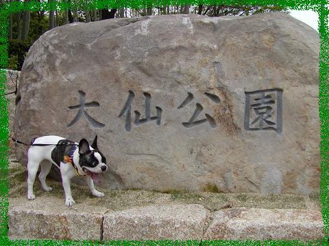 だらだら連休～つつじの巻ぃ♪_f0032507_113702.jpg