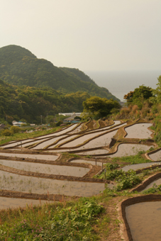 静かな海辺_f0100215_2193894.jpg
