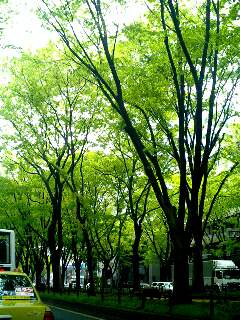 c0025422_1522355.jpg