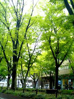 c0025422_15223587.jpg