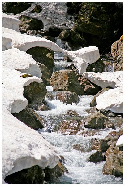 c0042324_23244650.jpg