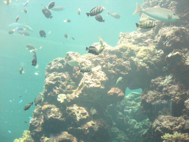 f0057324_13124614.jpg