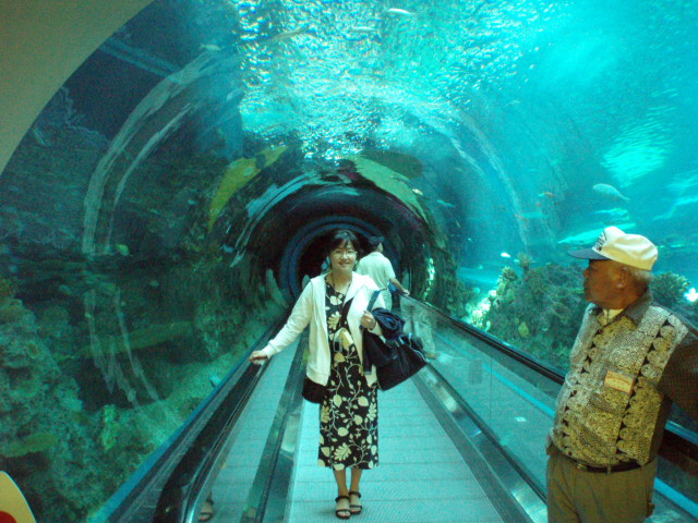 f0057324_13133612.jpg