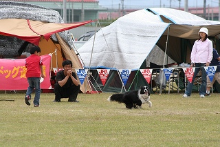 JFA 　泉大津大会　一日目_b0084834_2341761.jpg