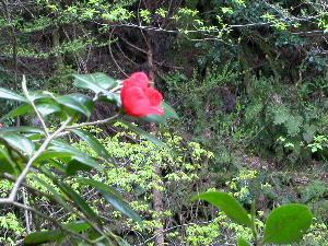 b0075140_23453216.jpg
