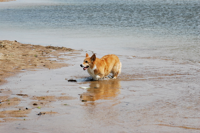 中の海慕情_c0039145_1032071.jpg