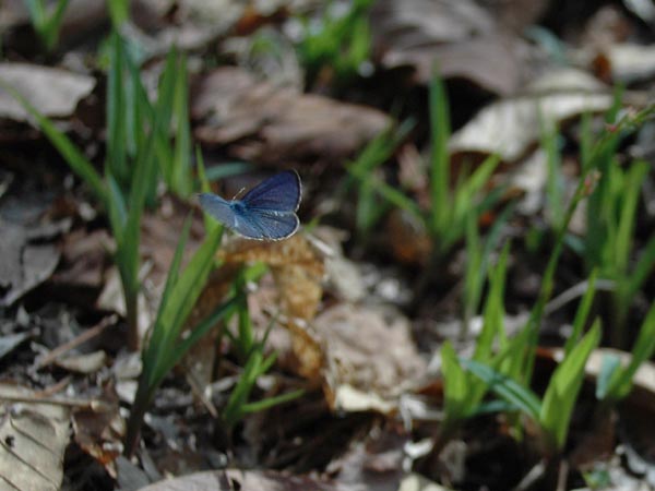 c0045352_204975.jpg