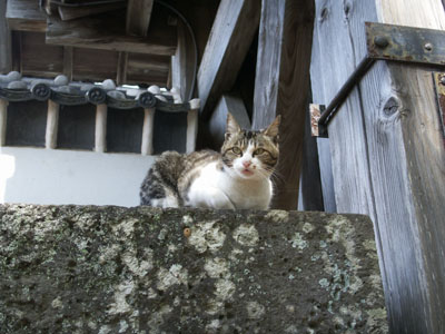 五島に行ってきました 其の2_b0083267_23425714.jpg