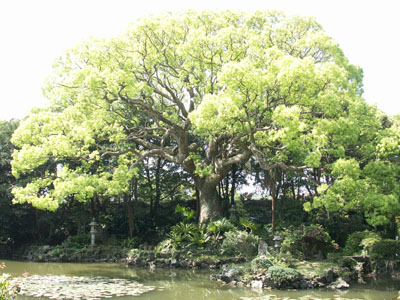 五島に行ってきました 其の2_b0083267_2356690.jpg