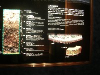 f0099973_2213673.jpg