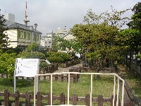 f0099973_2231065.jpg