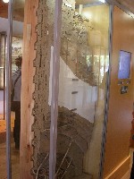 f0099973_2285521.jpg