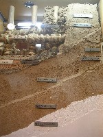 f0099973_2292724.jpg