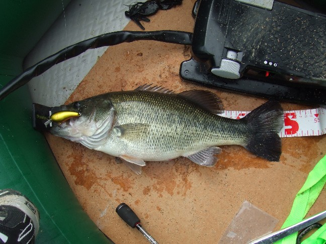 釣果報告_a0040876_2129022.jpg