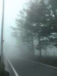 霧のなか。_d0028589_2243521.jpg