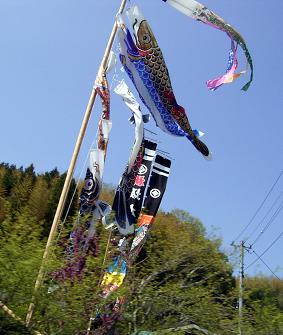 f0032403_20302370.jpg