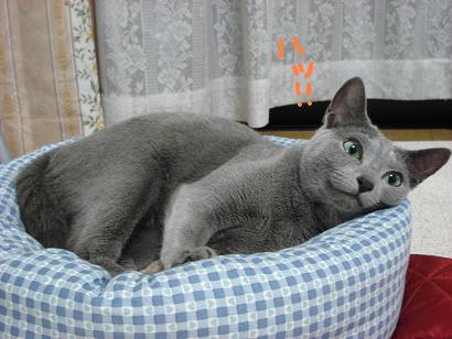 c0000307_215796.jpg