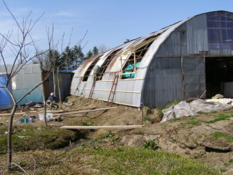 f0097539_824956.jpg