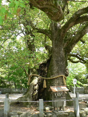 大麻神社_e0060041_9395896.jpg