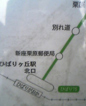 次は、別れ道ー別れ道_d0057843_1548668.jpg