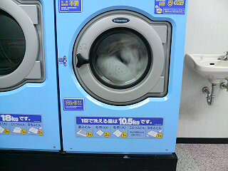 プロテクターの洗い方_b0089349_236041.jpg