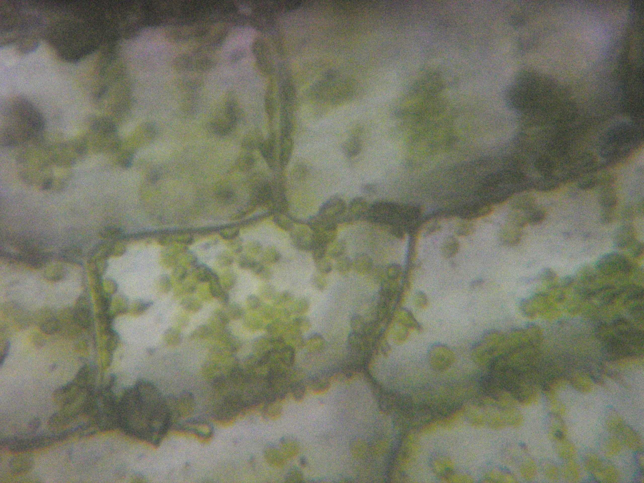 b0055151_21504645.jpg