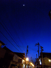 b0037160_8345485.gif