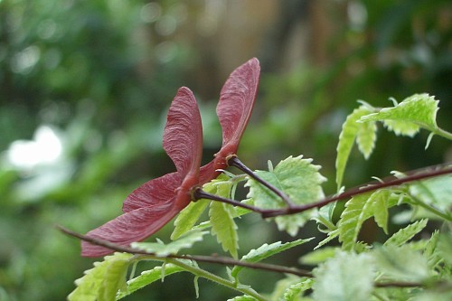 f0104569_10584944.jpg