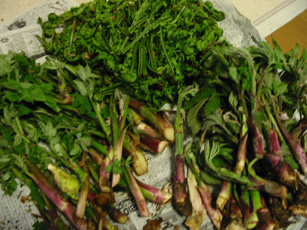b0010775_13504972.jpg