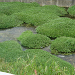 b0057675_10273528.jpg