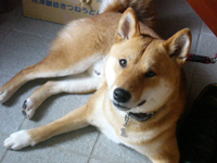 b0057675_10334826.jpg