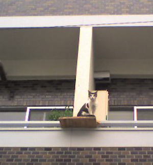 a0003079_23533013.jpg
